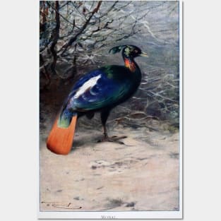 Monal Posters and Art